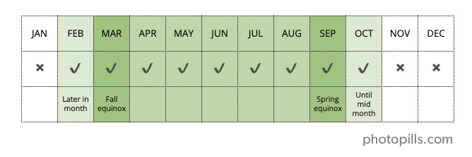 table showing the aurora visibility in the southern hemisphere month by month