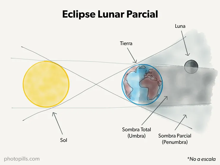 fases en blanco del diagrama de la luna